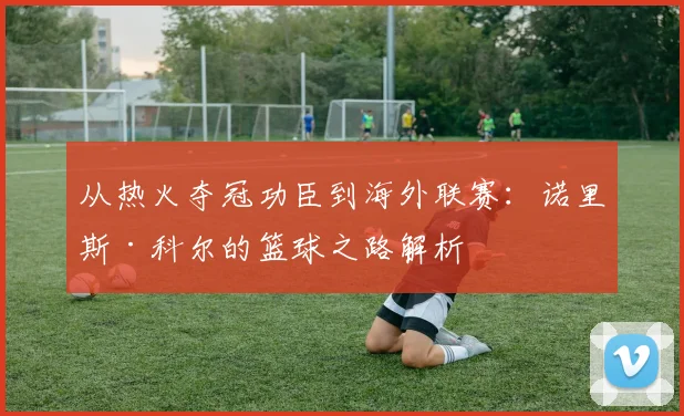从热火夺冠功臣到海外联赛：诺里斯·科尔的篮球之路解析