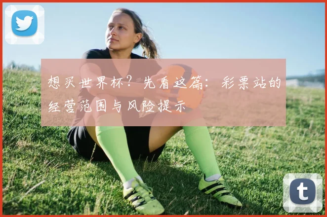 想买世界杯？先看这篇：彩票站的经营范围与风险提示