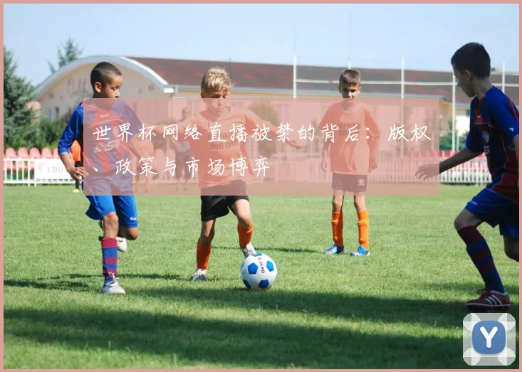 世界杯网络直播被禁的背后:版权、政策与市场博弈