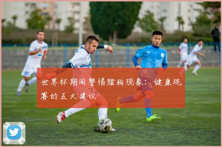 世界杯期间警惕赌狗现象：健康观赛的五大建议