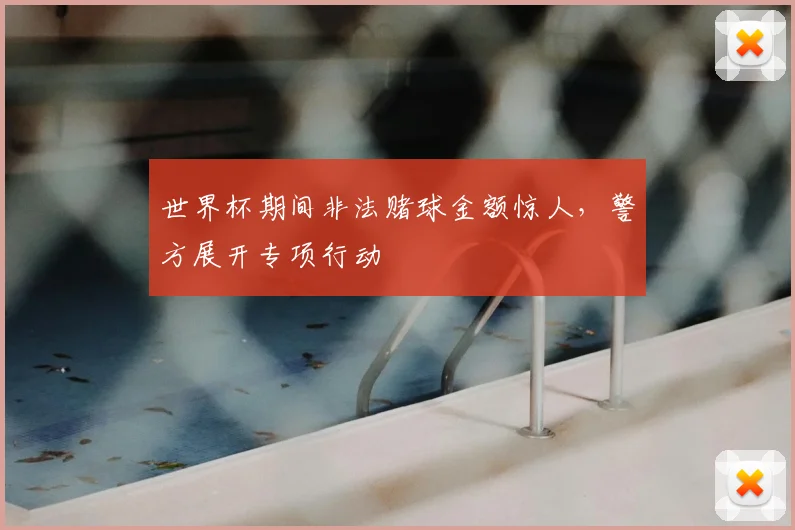 世界杯期间非法赌球金额惊人，警方展开专项行动